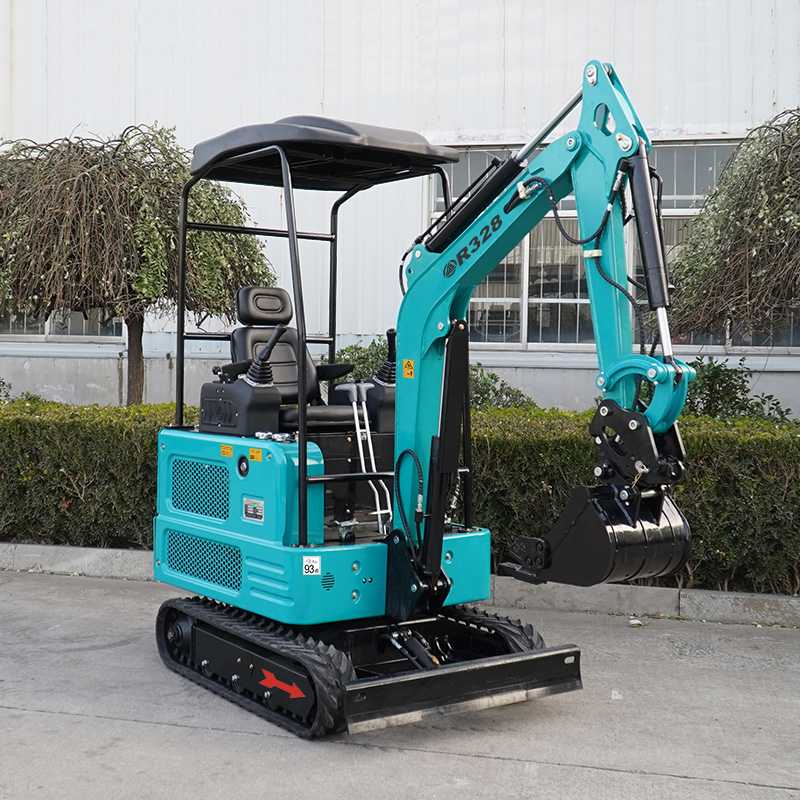 Rent or buy? Cost analysis and best choice for leasing a Mini excavator