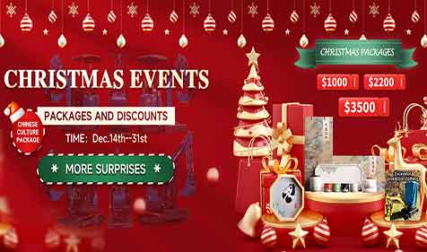 RIPPA Christmas Event: Mini Excavators and Surprise Gifts! 🎄🚜