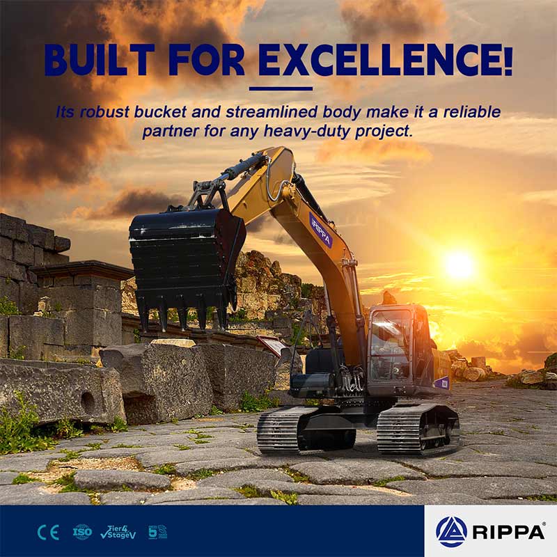 RIPPA R150 large excavator: a cost-effective solution for infrastructure in developing countries